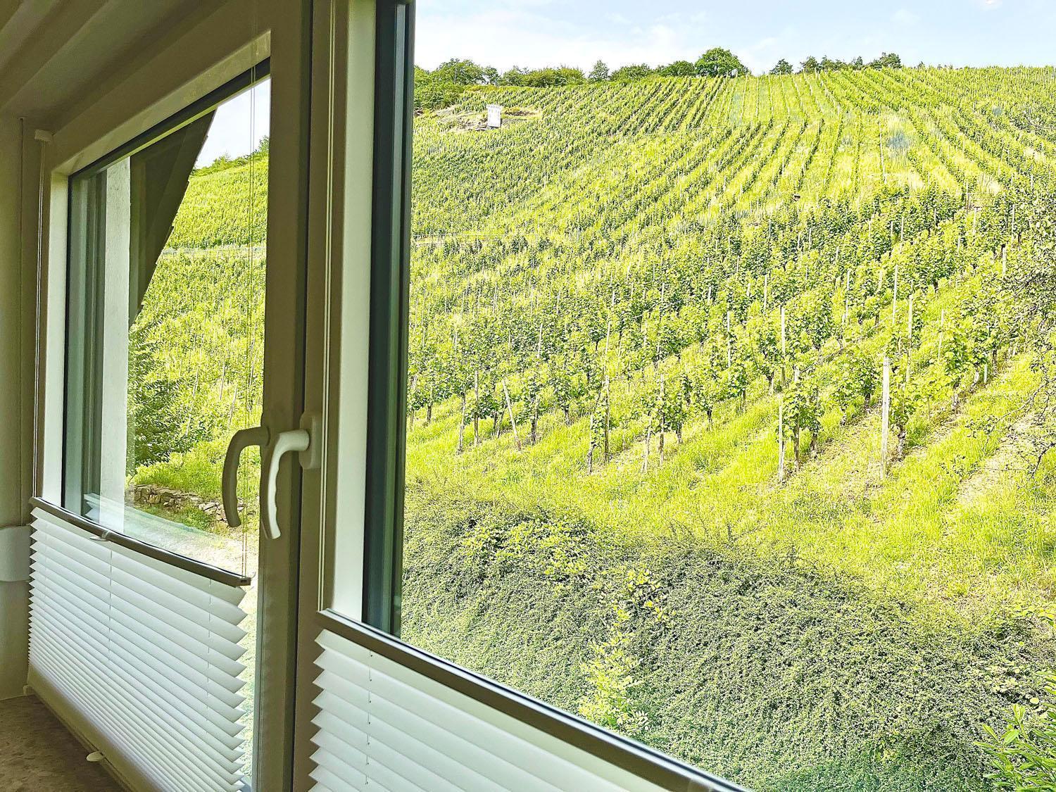 Ferienwohnung 1595 Im Weingut Botzet Maring-Noviand Exteriör bild